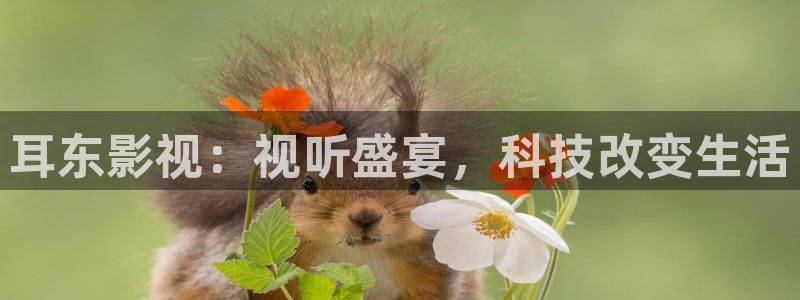 免费追剧大全策驰影院