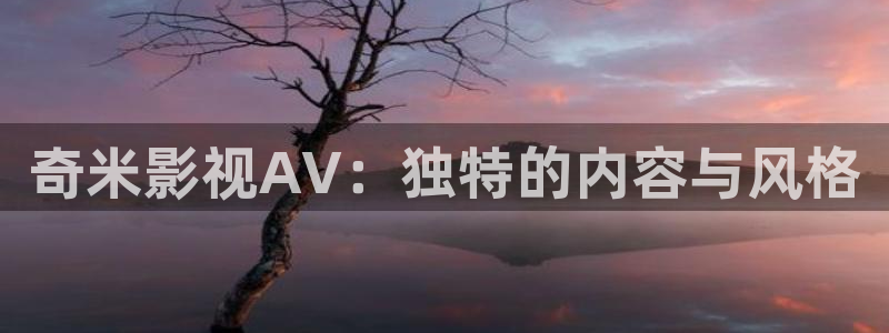 大侦探第九季策驰影院