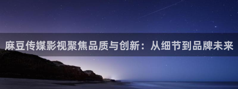 策驰影院策驰：麻豆传媒影视聚焦品质与创新：从细节到品牌未来